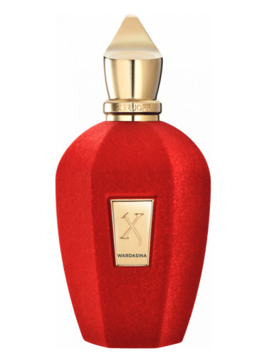 XERJOFF - Wardasina EDP 100ml